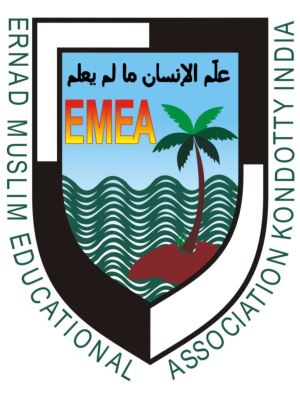 EMEA Logo